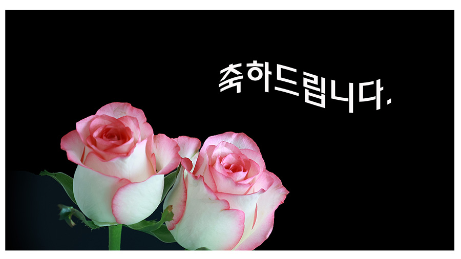 072A4928축소900.jpg