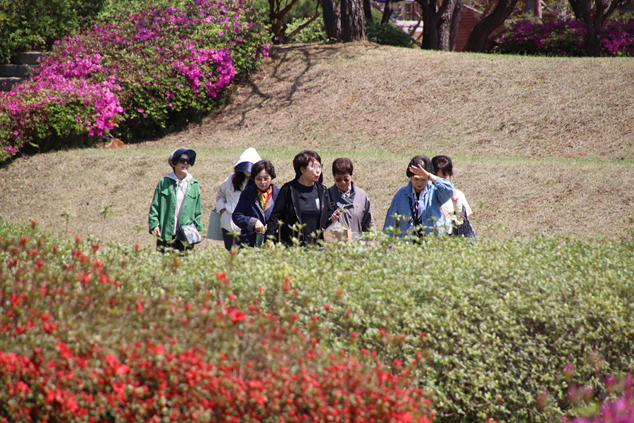 IMG_6649.jpg
