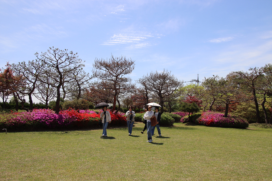 IMG_6666.jpg