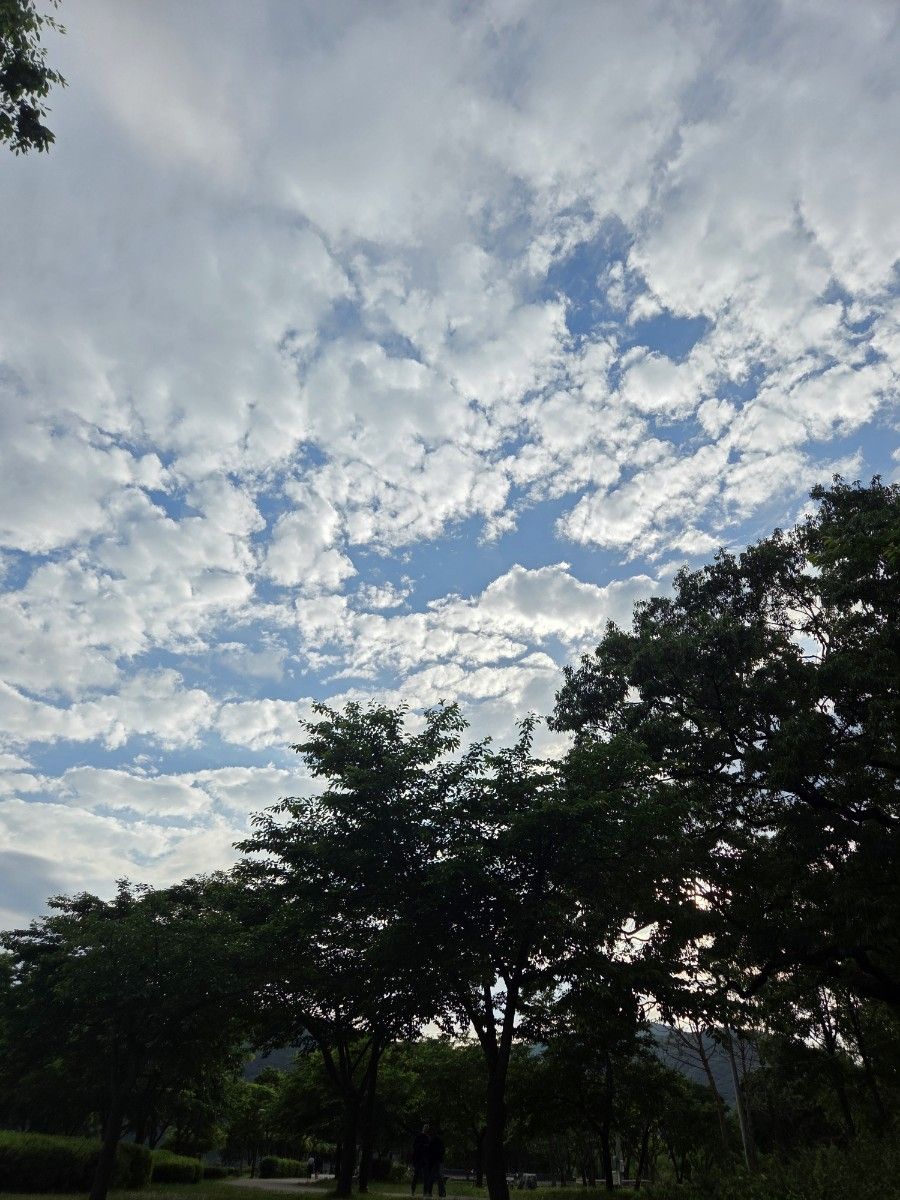 temp_1748232238273.1085491935.jpeg