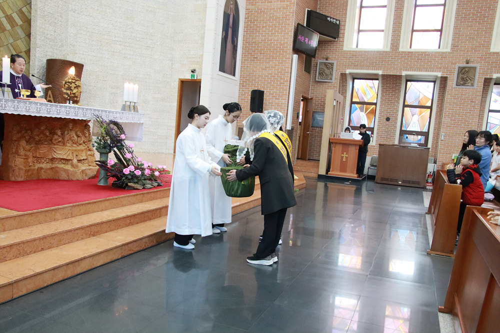 IMG_9676.jpg