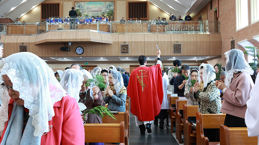072A1555.jpg