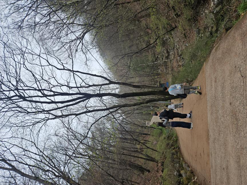 temp_1775909621996.-2134144505.jpeg