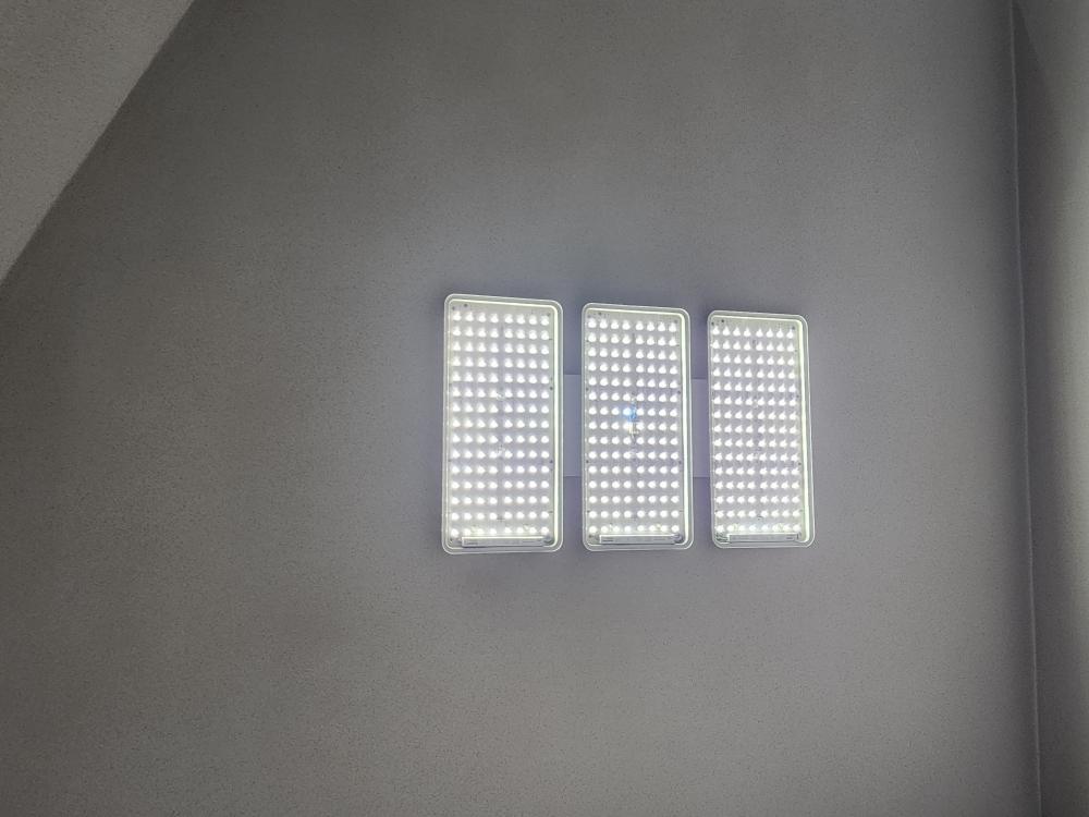 temp_1780207418075.1521213116.jpeg
