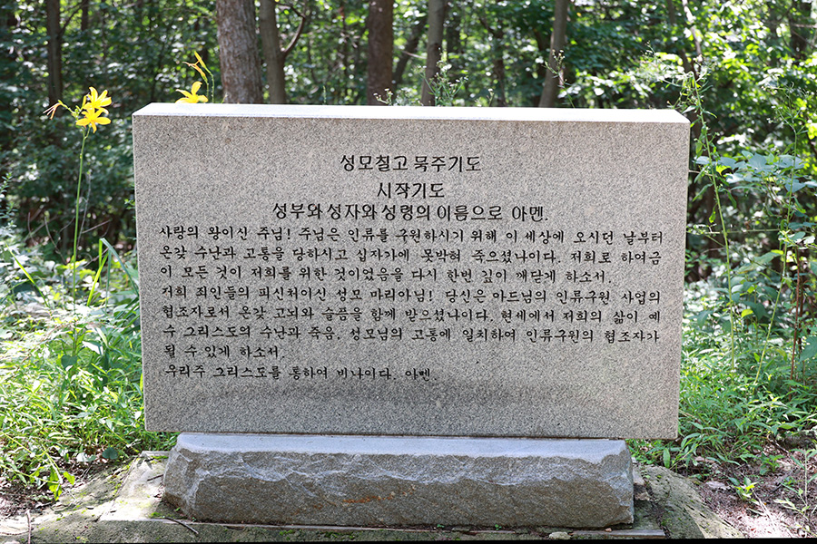 6I1A8629.jpg